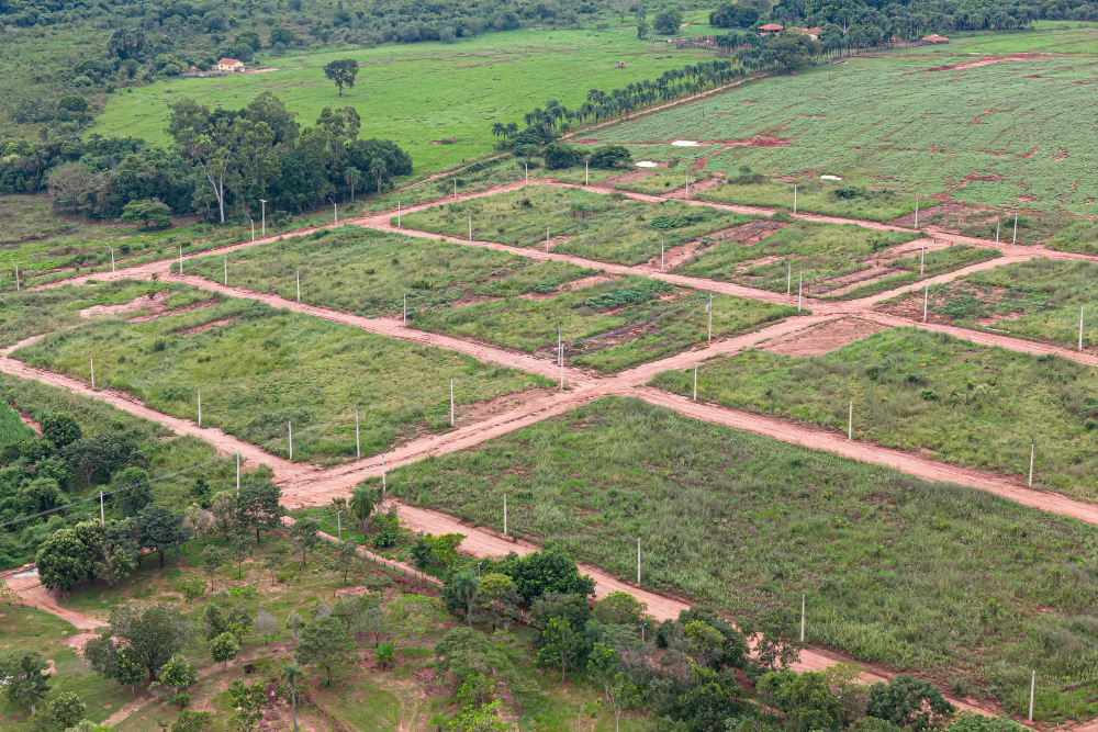 Real Estate Development & Advisory