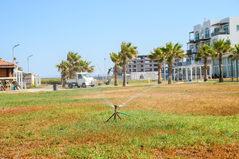 Real Estate Development & Advisory